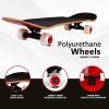 image:imageMagneto SUV Skateboards  Fully Assembled Complete 31 x 85 Standard Size  7 Layer Canadian Maple Deck  Designed for All Types of Riding Kids Adults Teens Men Women Boys Girls  Free Skate Tool